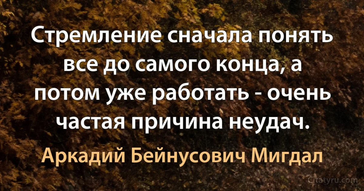 Стремление сначала понять все до самого конца, а потом уже работать - очень частая причина неудач. (Аркадий Бейнусович Мигдал)