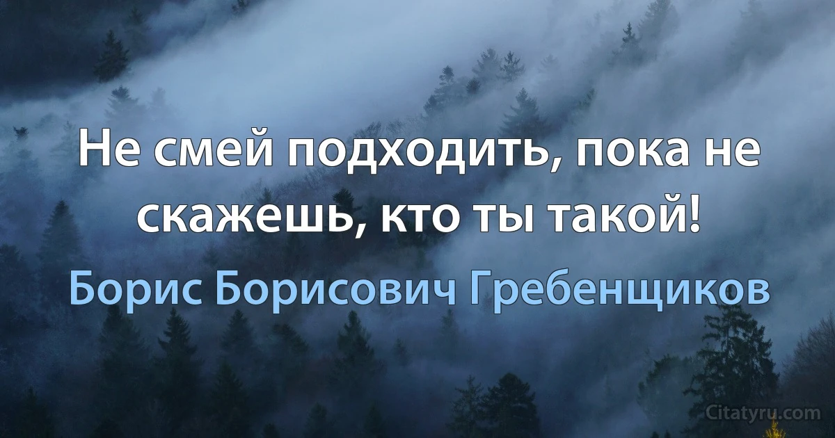 Не смей подходить, пока не скажешь, кто ты такой! (Борис Борисович Гребенщиков)