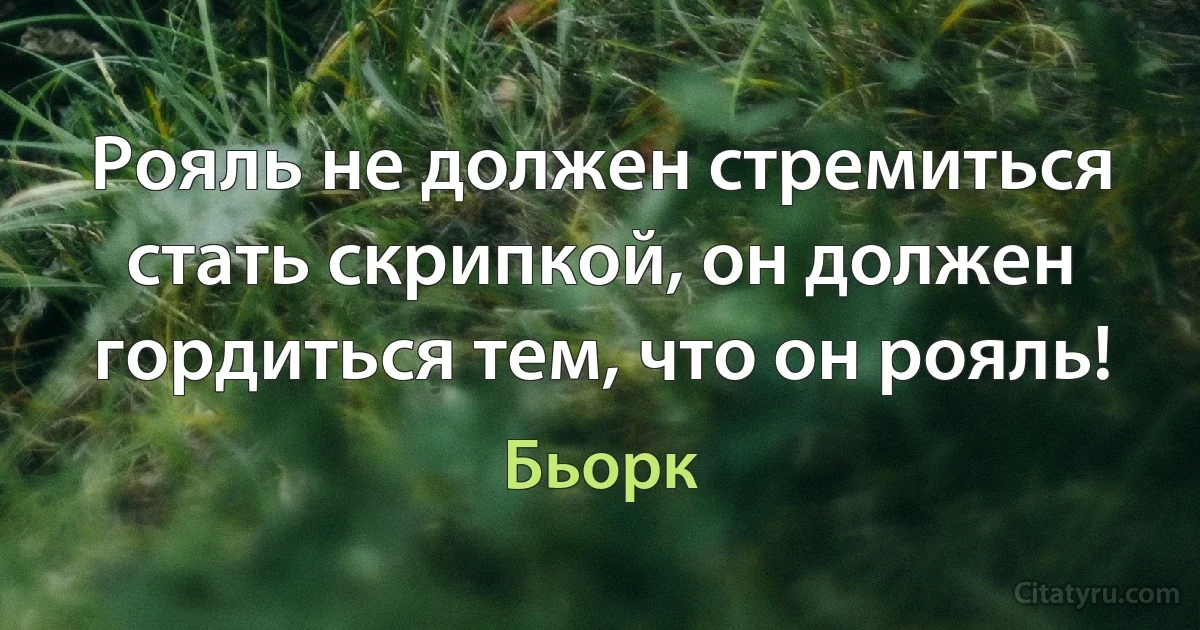 Рояль не должен стремиться стать скрипкой, он должен гордиться тем, что он рояль! (Бьорк)