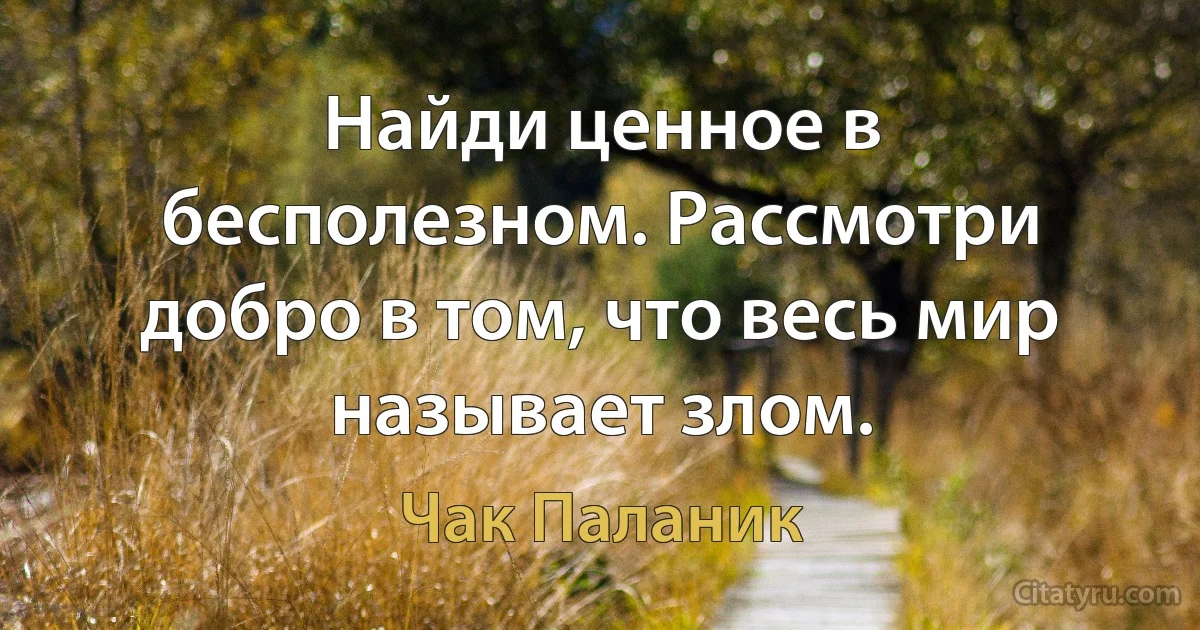 Найди ценное в бесполезном. Рассмотри добро в том, что весь мир называет злом. (Чак Паланик)