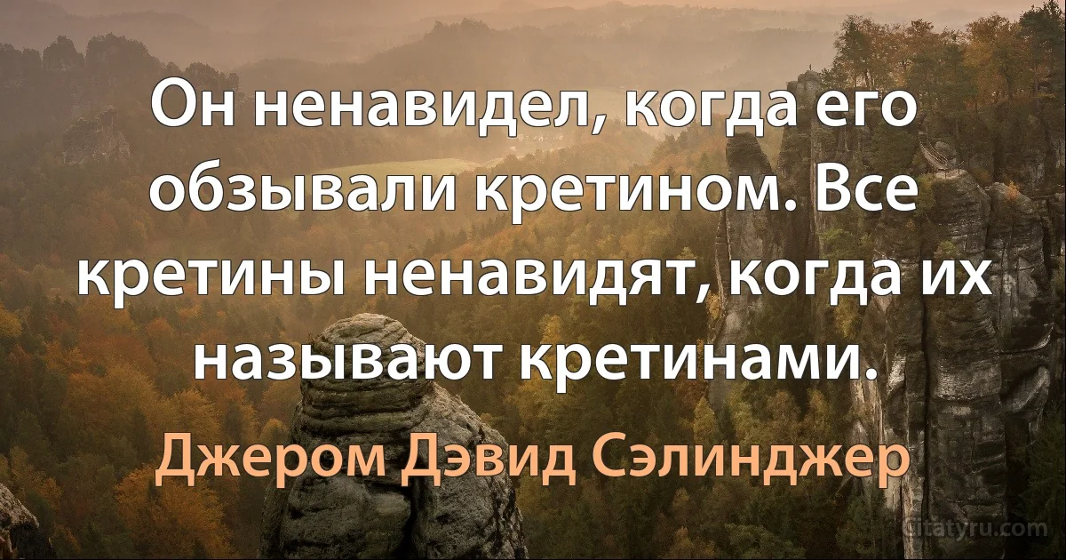 Он ненавидел, когда его обзывали кретином. Все кретины ненавидят, когда их называют кретинами. (Джером Дэвид Сэлинджер)