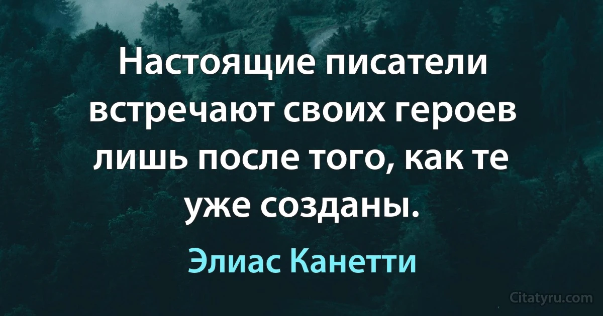 Настоящие писатели встречают своих героев лишь после того, как те уже созданы. (Элиас Канетти)