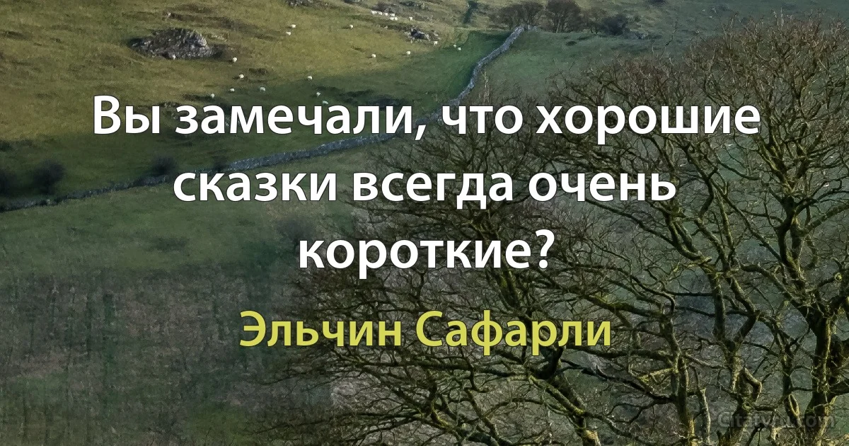 Вы замечали, что хорошие сказки всегда очень короткие? (Эльчин Сафарли)