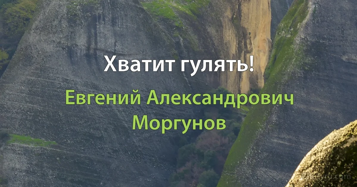 Хватит гулять! (Евгений Александрович Моргунов)