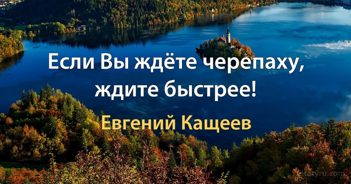 Если Вы ждёте черепаху, ждите быстрее! (Евгений Кащеев)