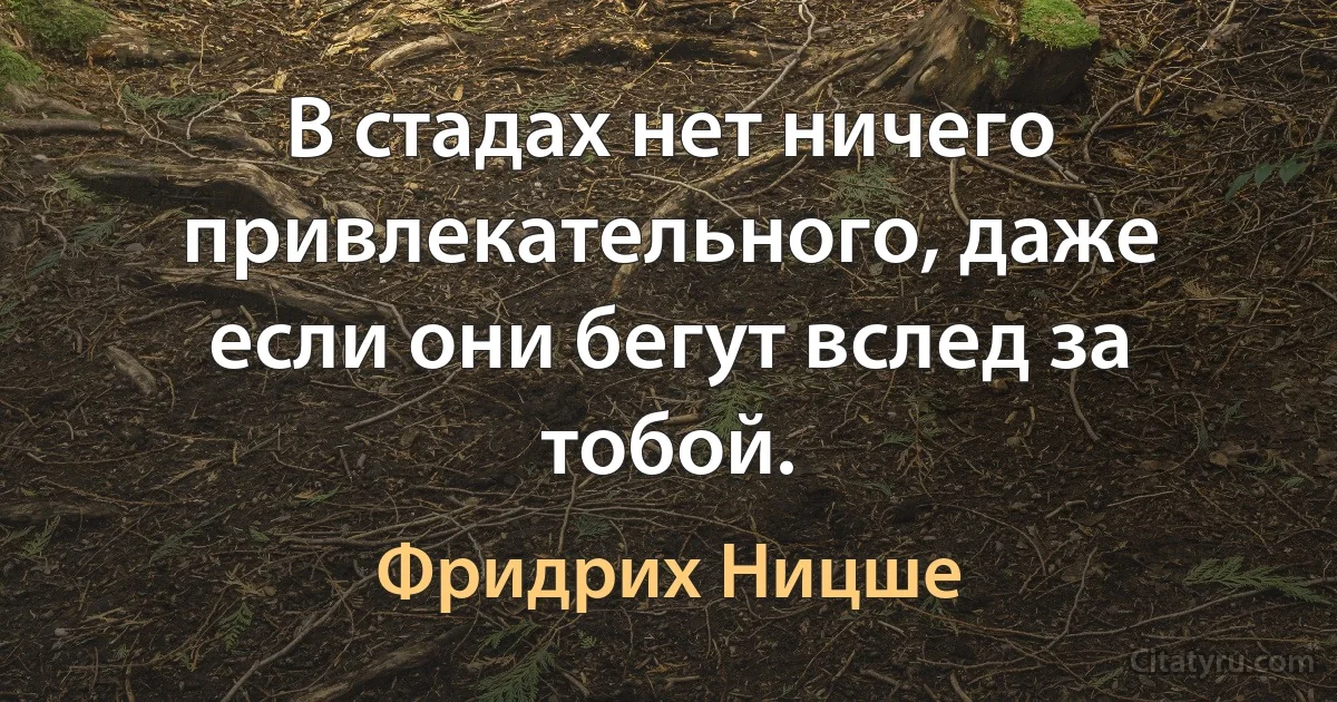 В стадах нет ничего привлекательного, даже если они бегут вслед за тобой. (Фридрих Ницше)