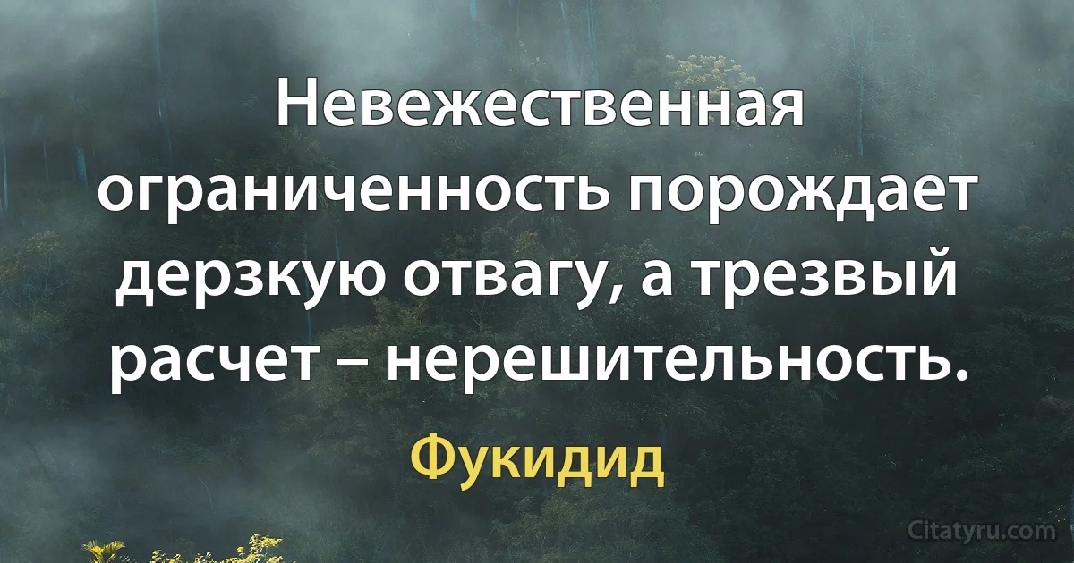 Невежественная ограниченность порождает дерзкую отвагу, а трезвый расчет – нерешительность. (Фукидид)