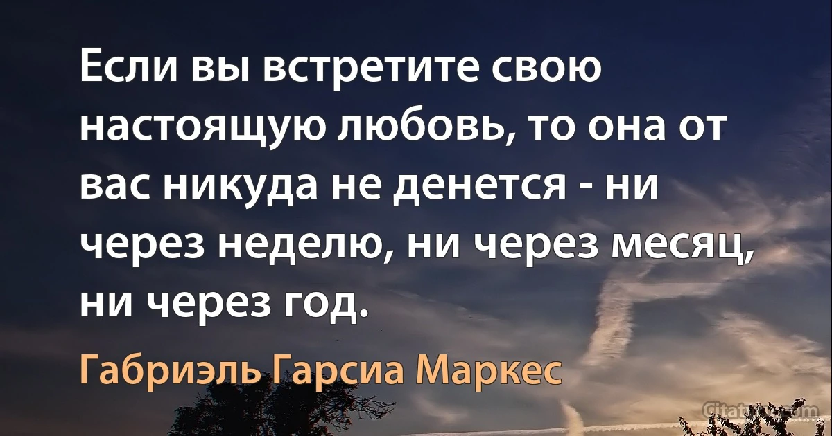 Если вы встретите свою настоящую любовь, то она от вас никуда не денется - ни через неделю, ни через месяц, ни через год. (Габриэль Гарсиа Маркес)