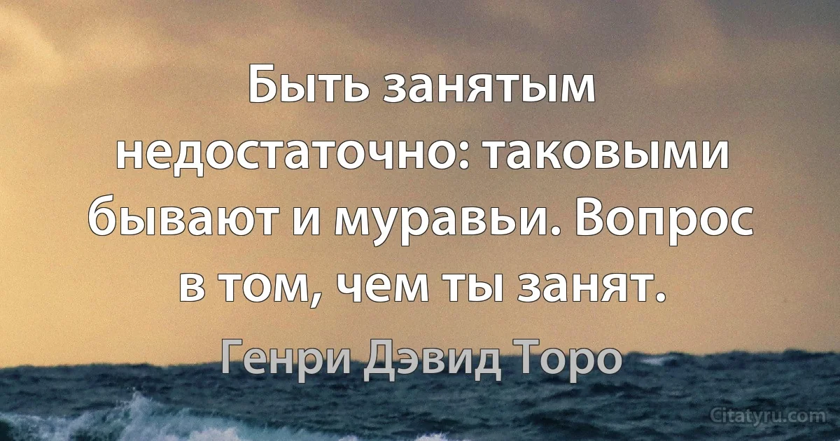 Быть занятым недостаточно: таковыми бывают и муравьи. Вопрос в том, чем ты занят. (Генри Дэвид Торо)