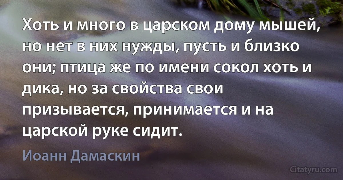 Хоть и много в царском дому мышей, но нет в них нужды, пусть и близко они; птица же по имени сокол хоть и дика, но за свойства свои призывается, принимается и на царской руке сидит. (Иоанн Дамаскин)