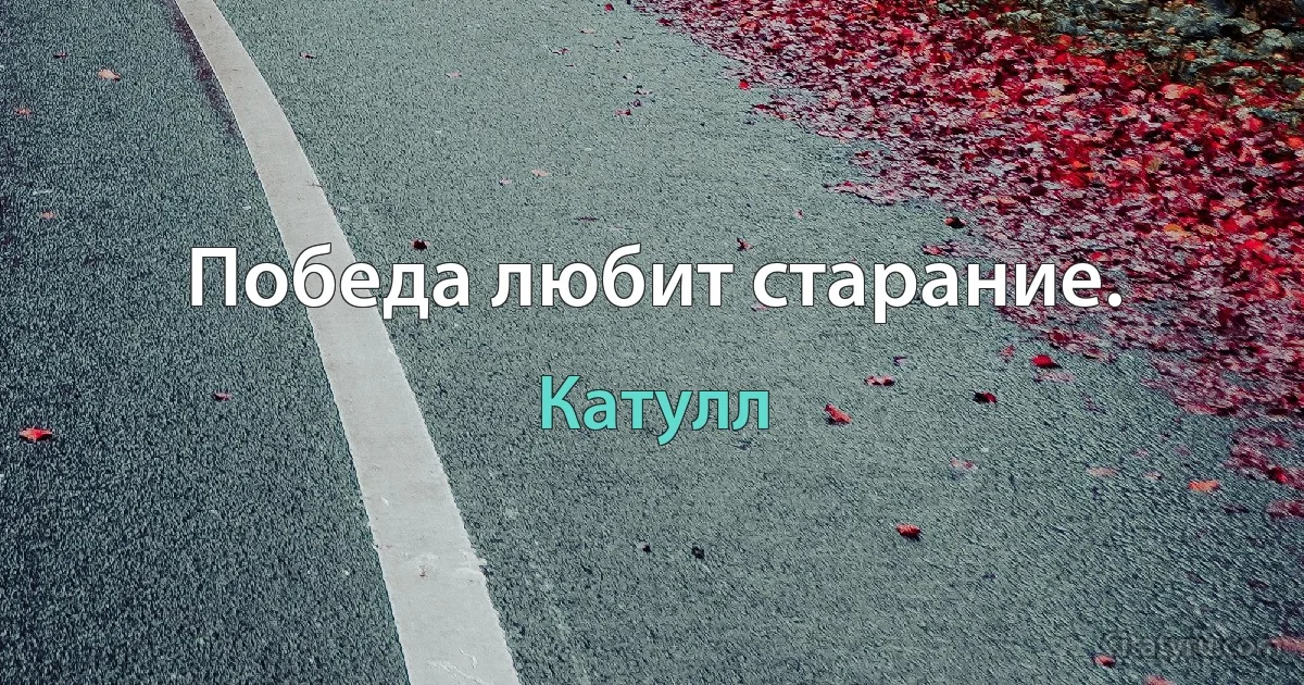 Победа любит старание. (Катулл)