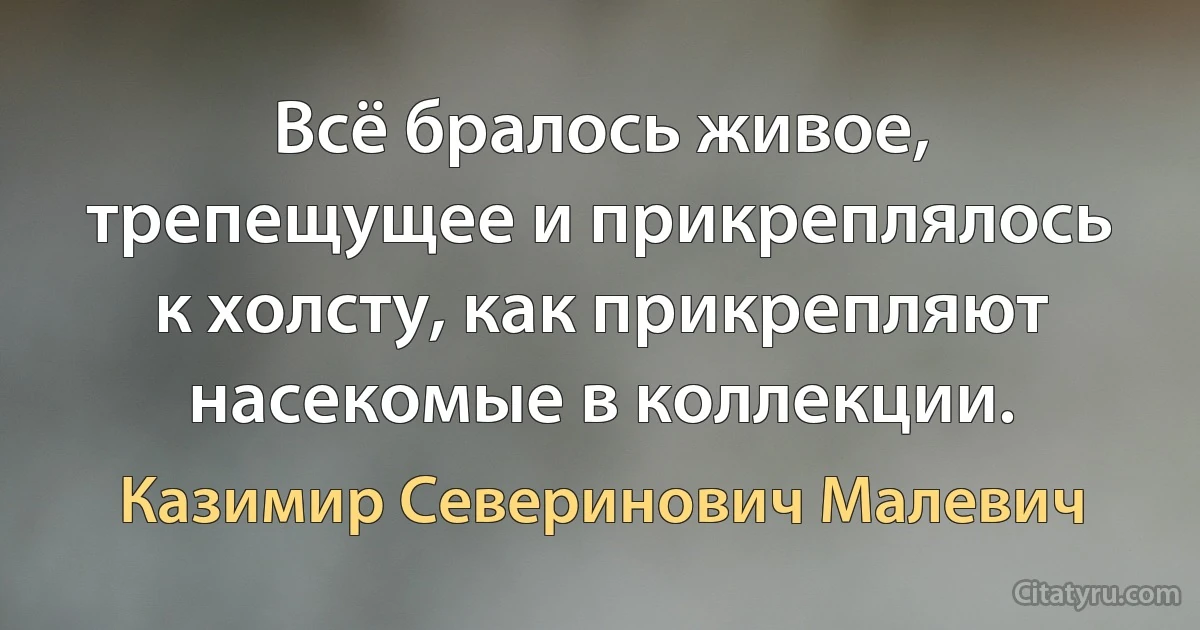 Всё бралось живое, трепещущее и прикреплялось к холсту, как прикрепляют насекомые в коллекции. (Казимир Северинович Малевич)