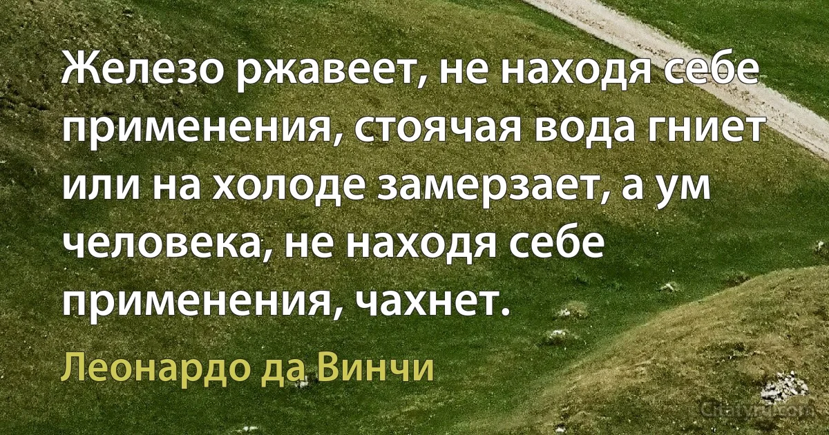 Железо ржавеет, не находя себе применения, стоячая вода гниет или на холоде замерзает, а ум человека, не находя себе применения, чахнет. (Леонардо да Винчи)