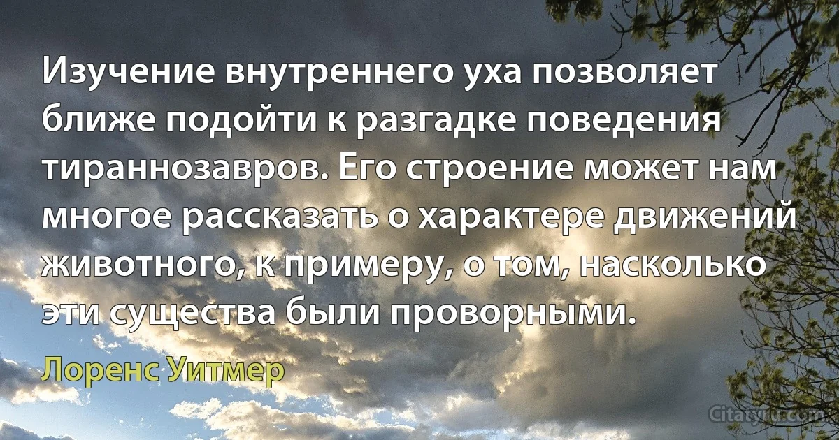 Изучение внутреннего уха позволяет ближе подойти к разгадке поведения тираннозавров. Его строение может нам многое рассказать о характере движений животного, к примеру, о том, насколько эти существа были проворными. (Лоренс Уитмер)