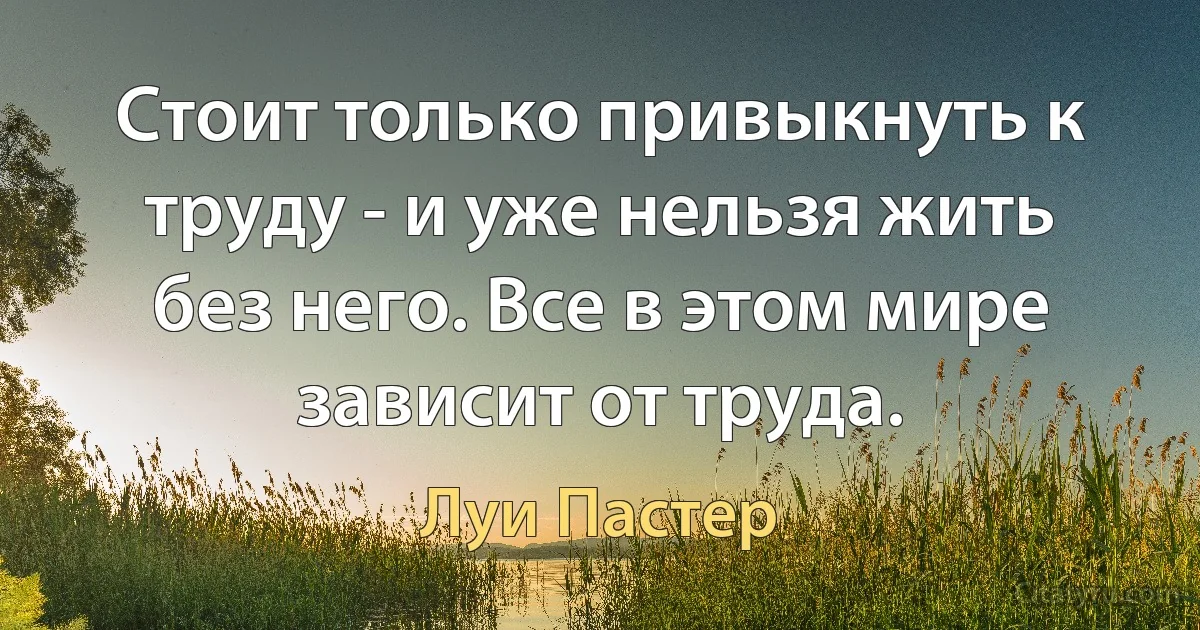 Стоит только привыкнуть к труду - и уже нельзя жить без него. Все в этом мире зависит от труда. (Луи Пастер)