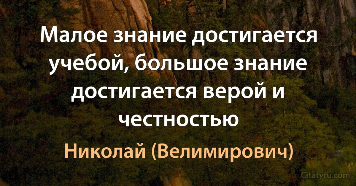Малое знание достигается учебой, большое знание достигается верой и честностью (Николай (Велимирович))