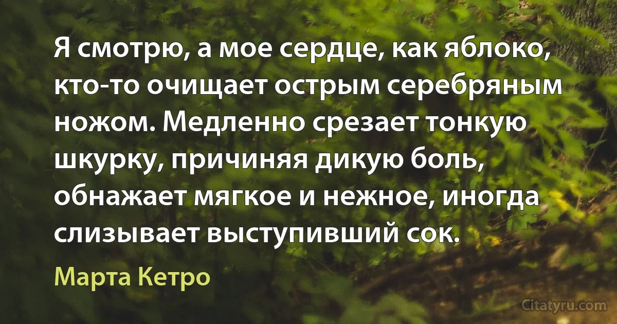 Я смотрю, а мое сердце, как яблоко, кто-то очищает острым серебряным ножом. Медленно срезает тонкую шкурку, причиняя дикую боль, обнажает мягкое и нежное, иногда слизывает выступивший сок. (Марта Кетро)