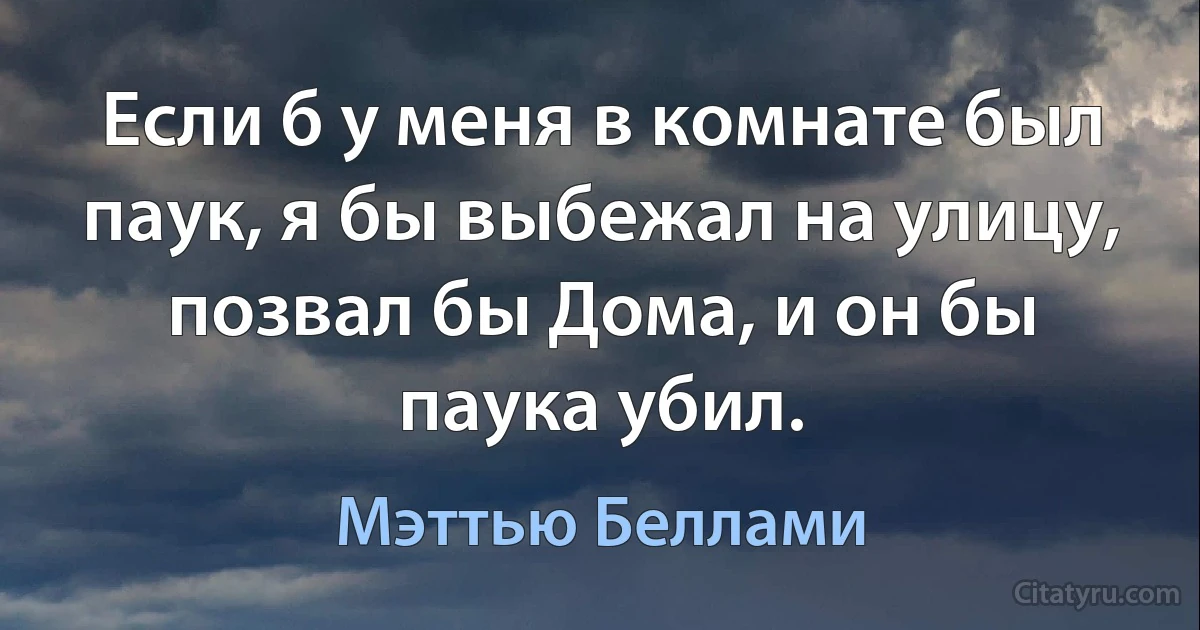 Если б у меня в комнате был паук, я бы выбежал на улицу, позвал бы Дома, и он бы паука убил. (Мэттью Беллами)