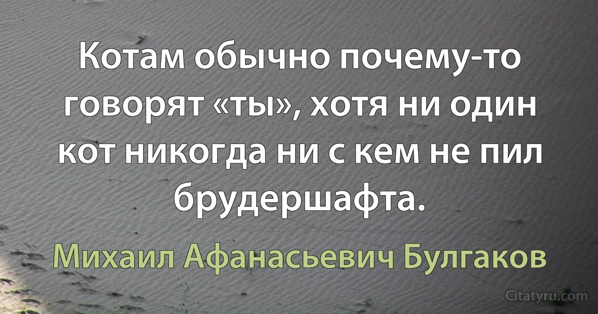 Котам обычно почему-то говорят «ты», хотя ни один кот никогда ни с кем не пил брудершафта. (Михаил Афанасьевич Булгаков)