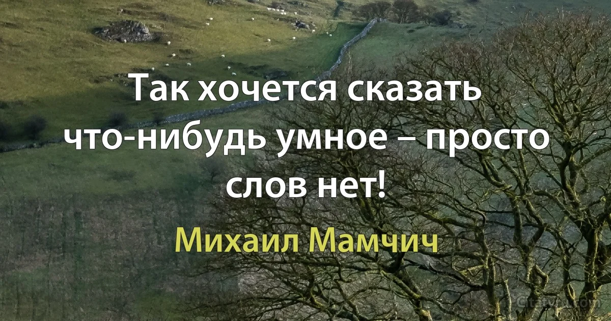 Так хочется сказать что-нибудь умное – просто слов нет! (Михаил Мамчич)