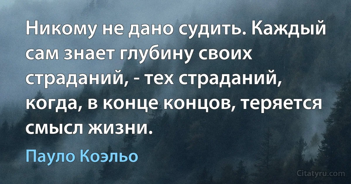 Никому не дано судить. Каждый сам знает глубину своих страданий, - тех страданий, когда, в конце концов, теряется смысл жизни. (Пауло Коэльо)