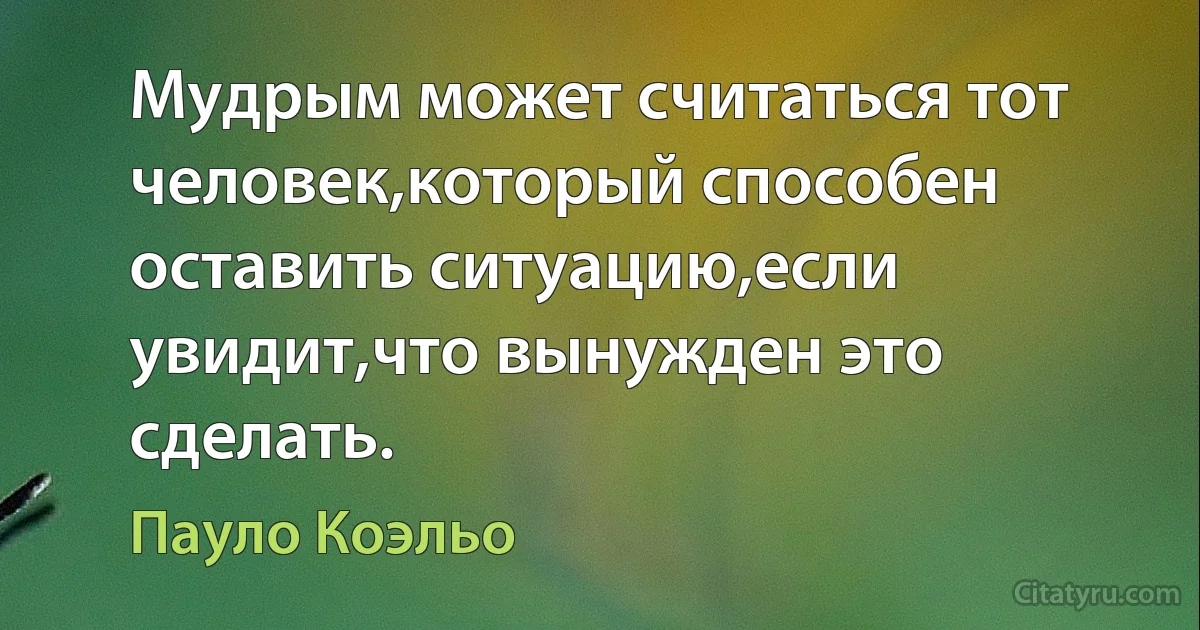 Мудрым может считаться тот человек,который способен оставить ситуацию,если увидит,что вынужден это сделать. (Пауло Коэльо)