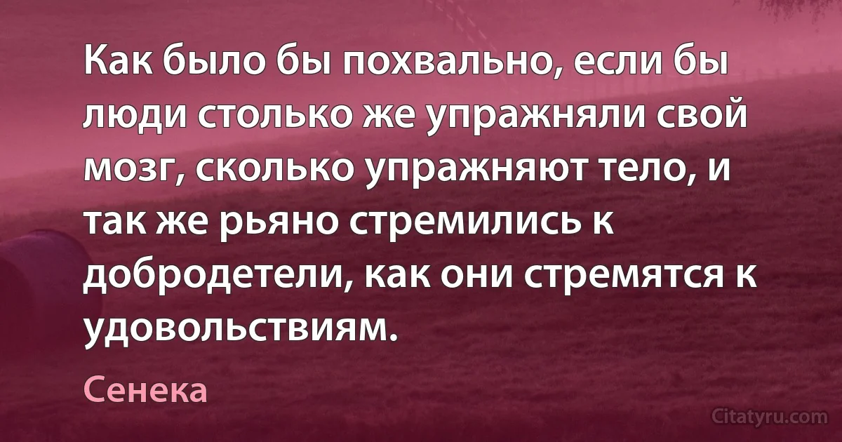 Как было бы похвально, если бы люди столько же упражняли свой мозг, сколько упражняют тело, и так же рьяно стремились к добродетели, как они стремятся к удовольствиям. (Сенека)