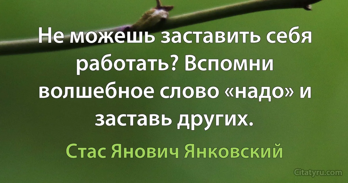 Не можешь заставить себя работать? Вспомни волшебное слово «надо» и заставь других. (Стас Янович Янковский)