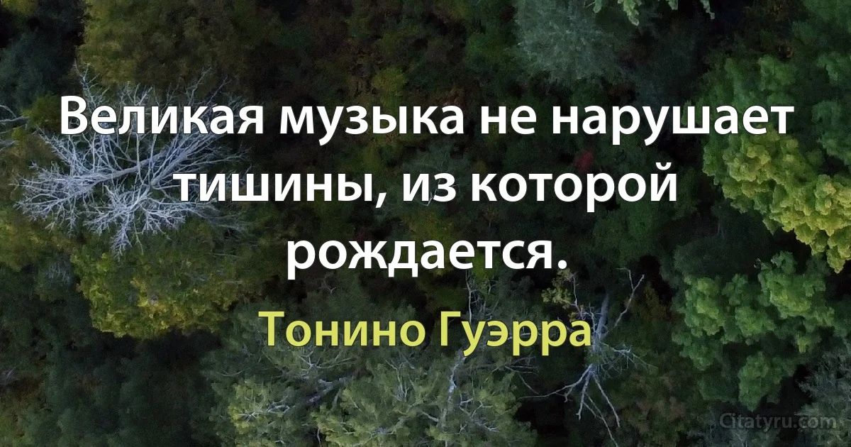 Великая музыка не нарушает тишины, из которой рождается. (Тонино Гуэрра)