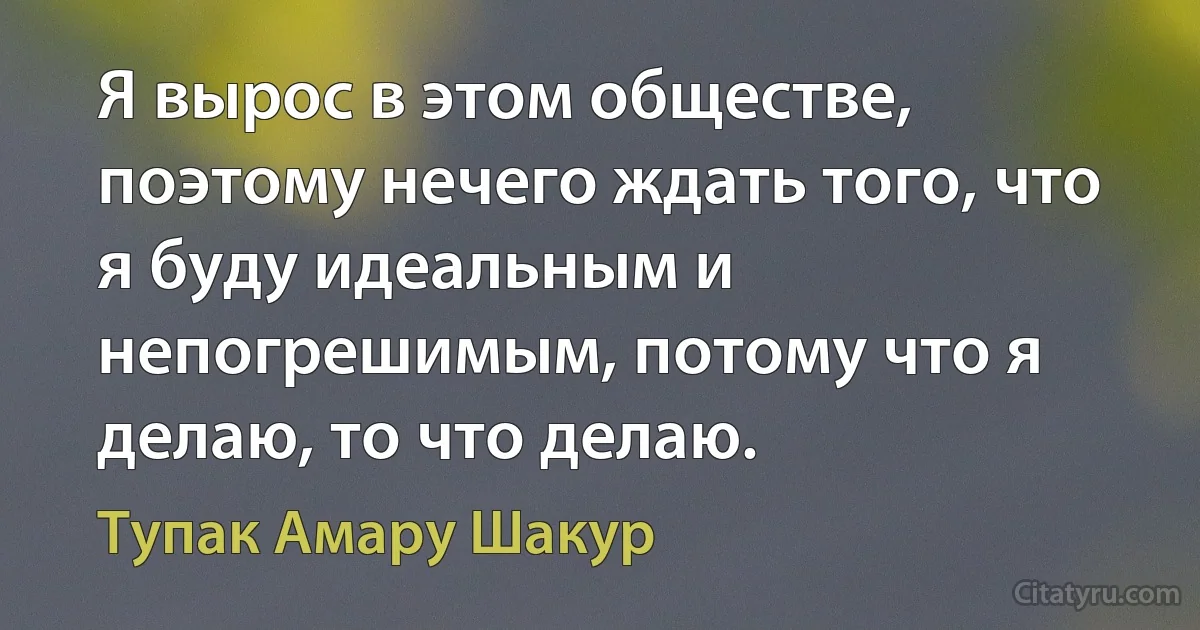 Я вырос в этом обществе, поэтому нечего ждать того, что я буду идеальным и непогрешимым, потому что я делаю, то что делаю. (Тупак Амару Шакур)