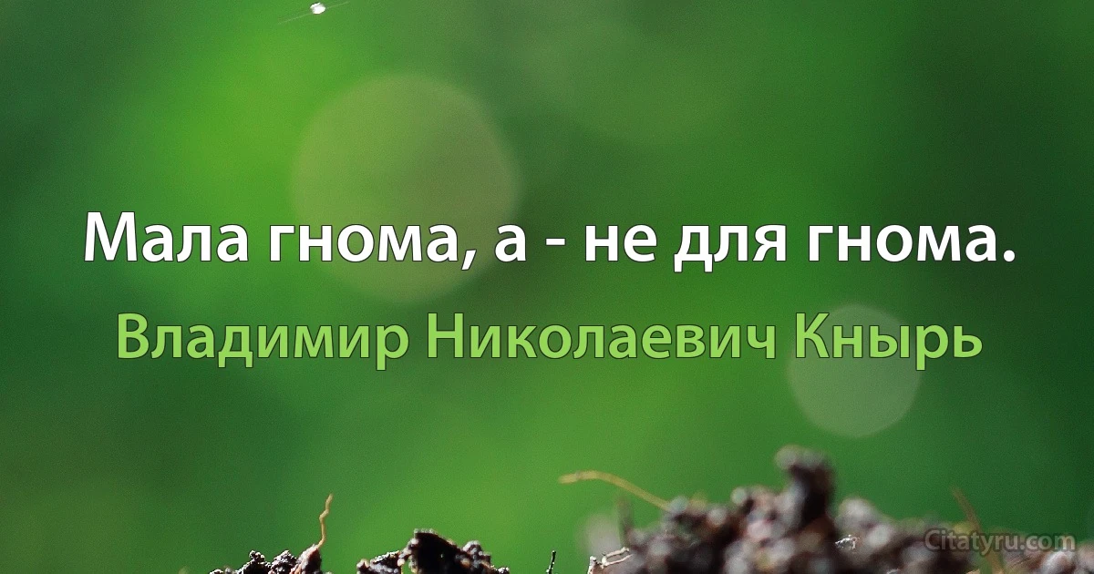 Мала гнома, а - не для гнома. (Владимир Николаевич Кнырь)