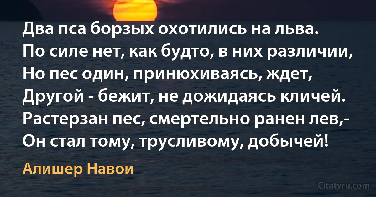 Два пса борзых охотились на льва.
По силе нет, как будто, в них различии,
Но пес один, принюхиваясь, ждет,
Другой - бежит, не дожидаясь кличей.
Растерзан пес, смертельно ранен лев,-
Он стал тому, трусливому, добычей! (Алишер Навои)