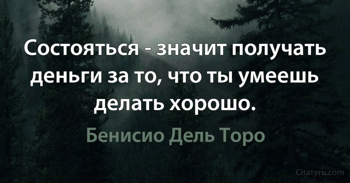 Состояться - значит получать деньги за то, что ты умеешь делать хорошо. (Бенисио Дель Торо)