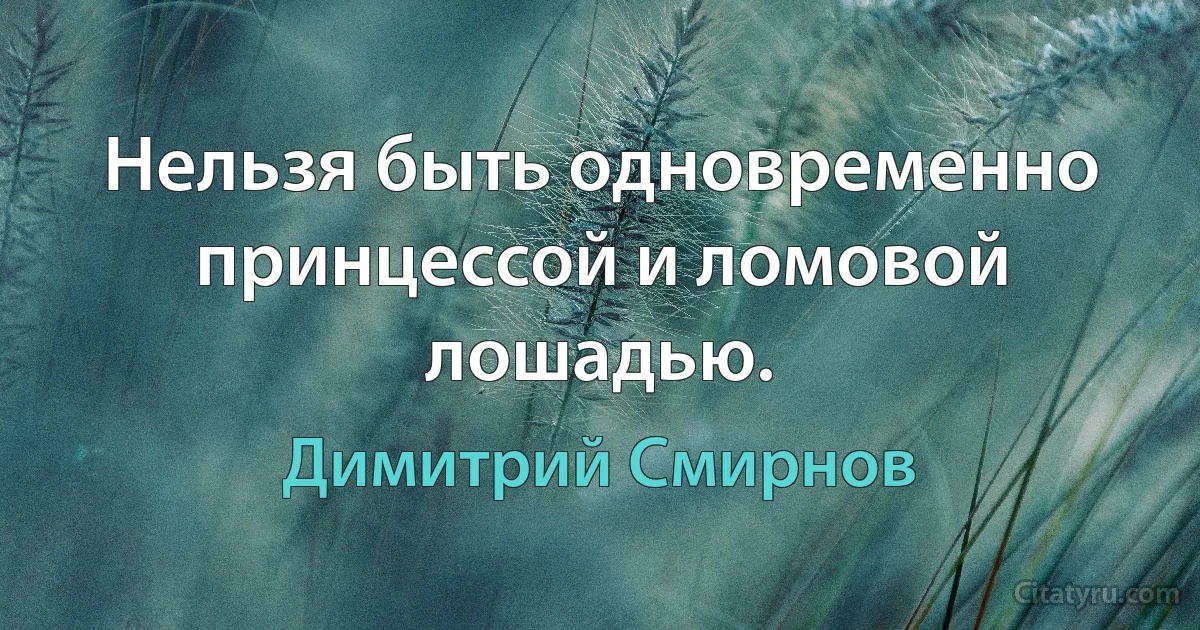 Нельзя быть одновременно принцессой и ломовой лошадью. (Димитрий Смирнов)