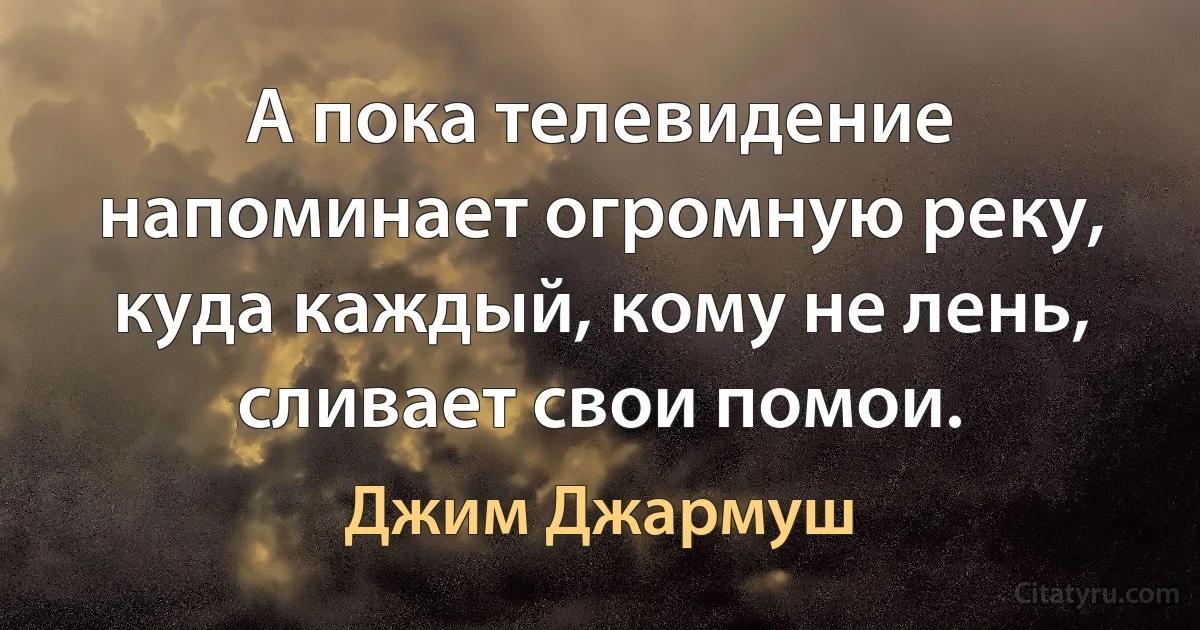 А пока телевидение напоминает огромную реку, куда каждый, кому не лень, сливает свои помои. (Джим Джармуш)