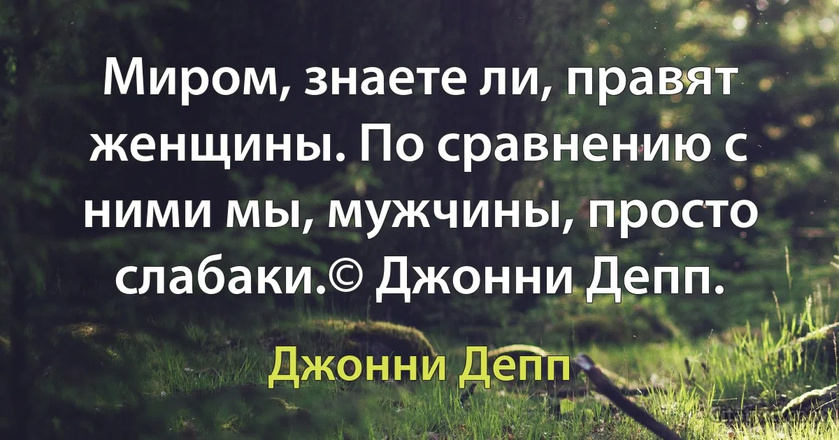 Миром, знаете ли, правят женщины. По сравнению с ними мы, мужчины, просто слабаки.© Джонни Депп. (Джонни Депп)