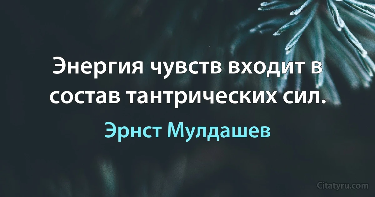 Энергия чувств входит в состав тантрических сил. (Эрнст Мулдашев)