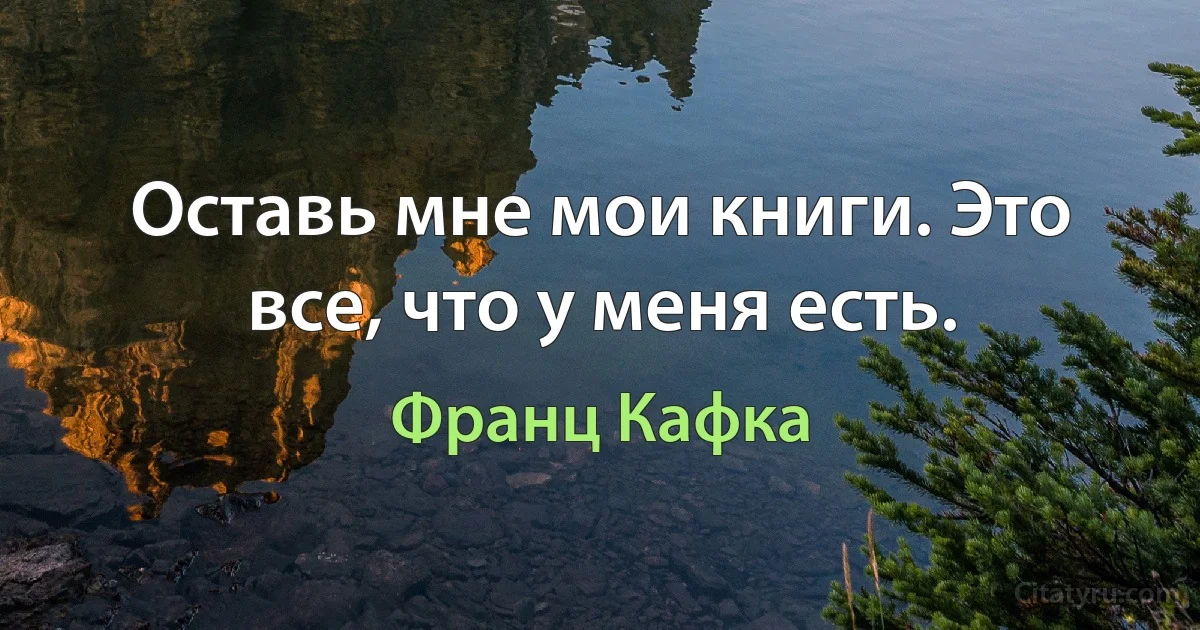 Оставь мне мои книги. Это все, что у меня есть. (Франц Кафка)