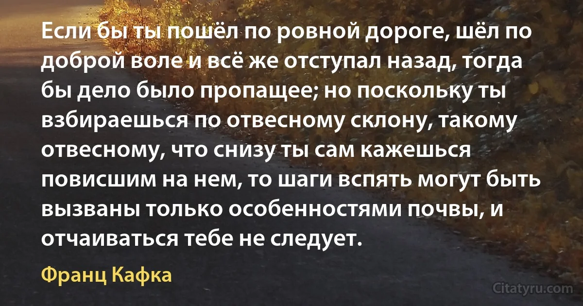 Если бы ты пошёл по ровной дороге, шёл по доброй воле и всё же отступал назад, тогда бы дело было пропащее; но поскольку ты взбираешься по отвесному склону, такому отвесному, что снизу ты сам кажешься повисшим на нем, то шаги вспять могут быть вызваны только особенностями почвы, и отчаиваться тебе не следует. (Франц Кафка)