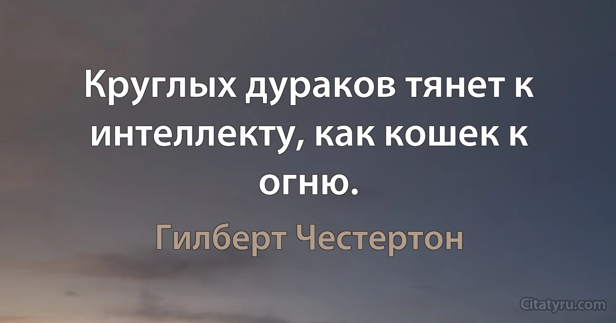 Круглых дураков тянет к интеллекту, как кошек к огню. (Гилберт Честертон)