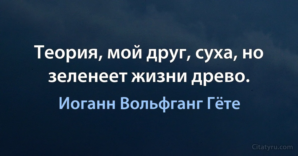 Теория, мой друг, суха, но зеленеет жизни древо. (Иоганн Вольфганг Гёте)