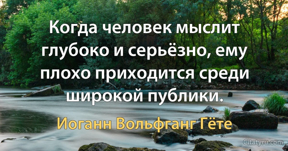 Когда человек мыслит глубоко и серьёзно, ему плохо приходится среди широкой публики. (Иоганн Вольфганг Гёте)