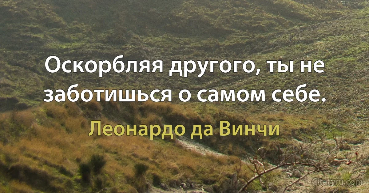 Оскорбляя другого, ты не заботишься о самом себе. (Леонардо да Винчи)