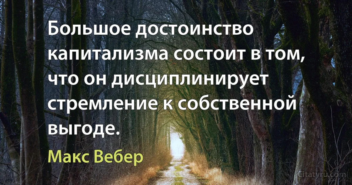 Большое достоинство капитализма состоит в том, что он дисциплинирует стремление к собственной выгоде. (Макс Вебер)