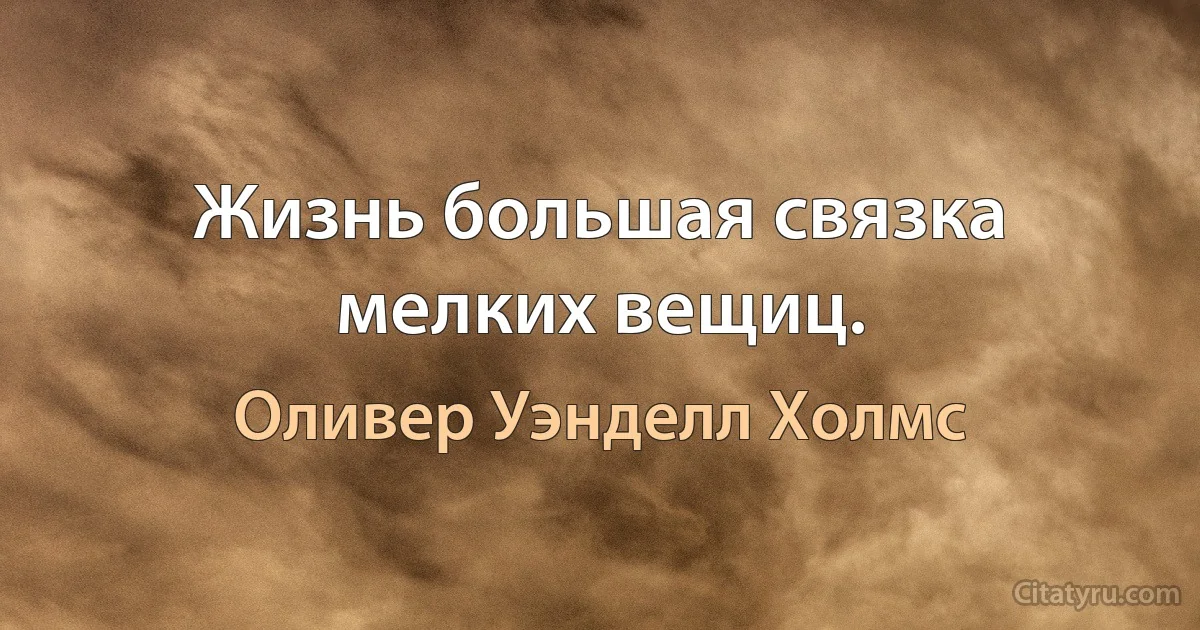 Жизнь большая связка мелких вещиц. (Оливер Уэнделл Холмс)