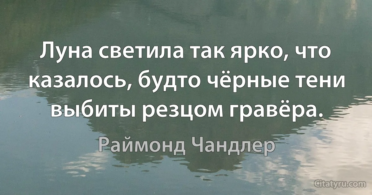 Луна светила так ярко, что казалось, будто чёрные тени выбиты резцом гравёра. (Раймонд Чандлер)