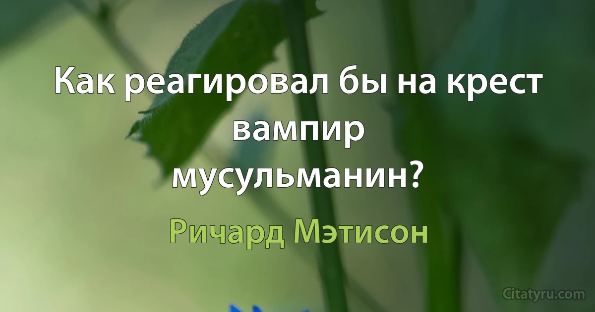 Как реагировал бы на крест вампир
мусульманин? (Ричард Мэтисон)