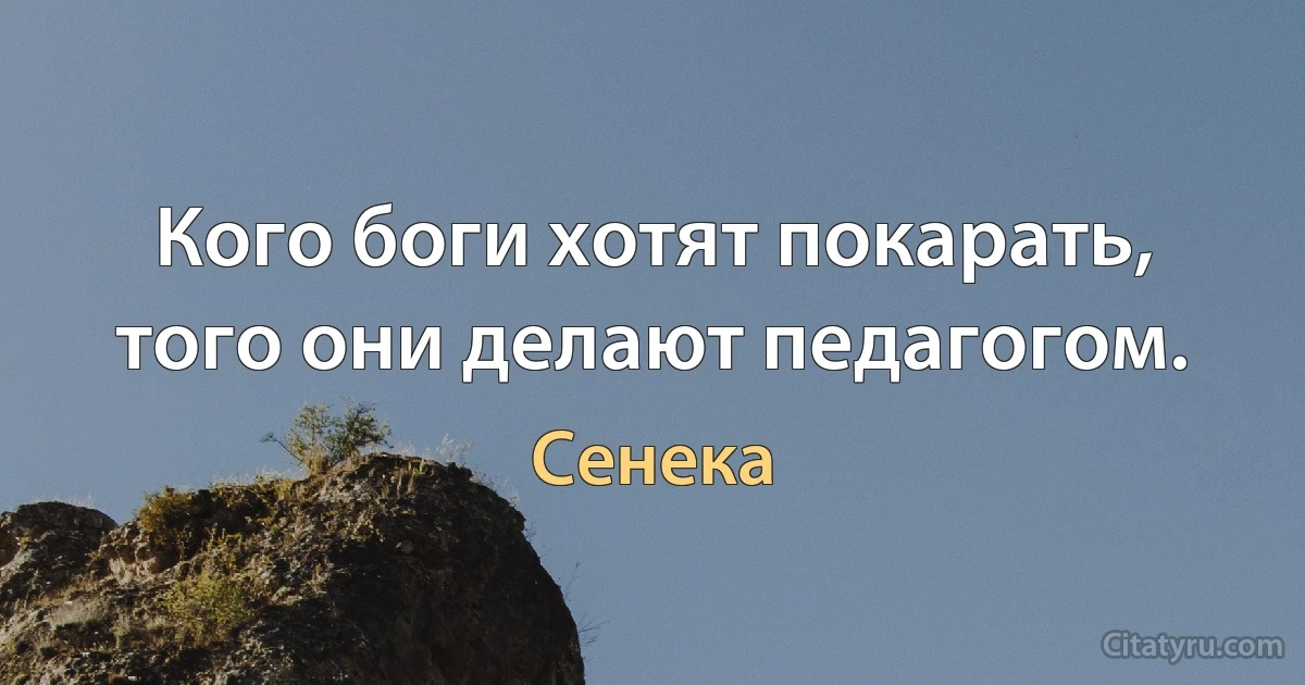 Кого боги хотят покарать, того они делают педагогом. (Сенека)