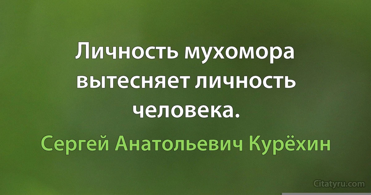 Личность мухомора вытесняет личность человека. (Сергей Анатольевич Курёхин)