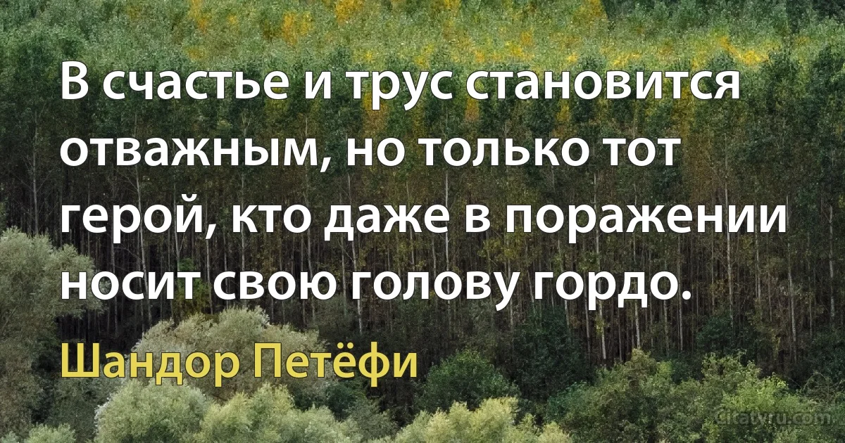 В счастье и трус становится отважным, но только тот герой, кто даже в поражении носит свою голову гордо. (Шандор Петёфи)